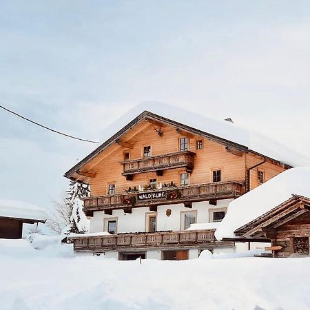 Waldruhe Appartements Sankt Jakob in Defereggen Exteriör bild